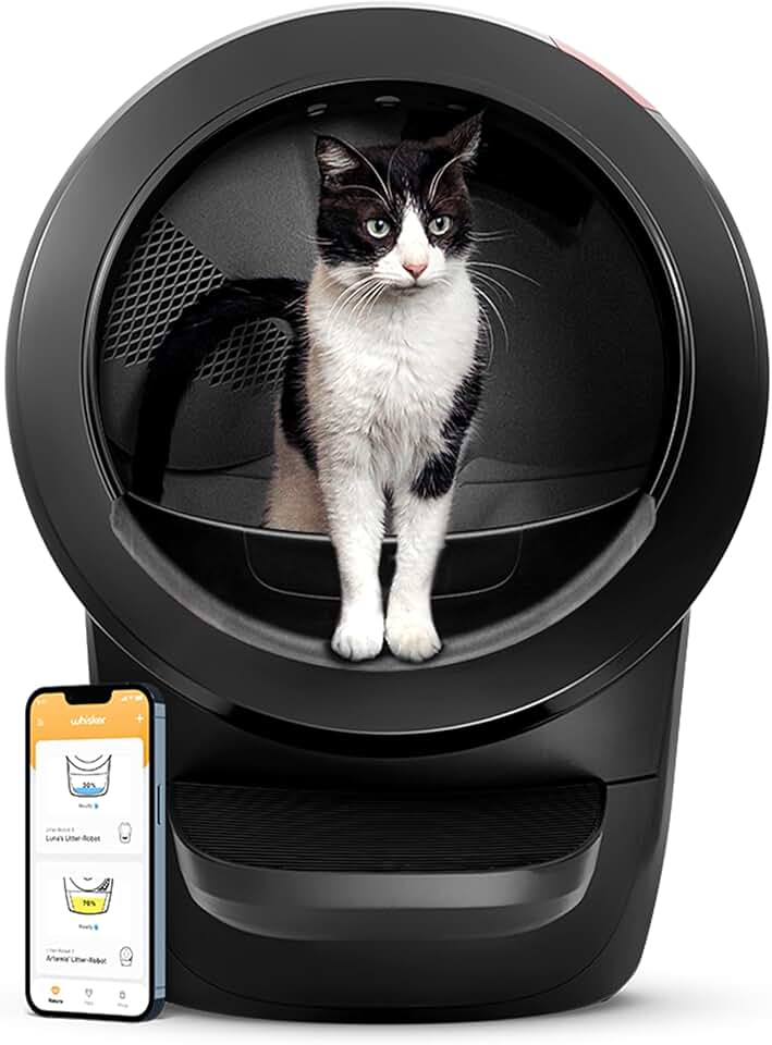 Avis sur le Litter-Robot 4 après 1 an
