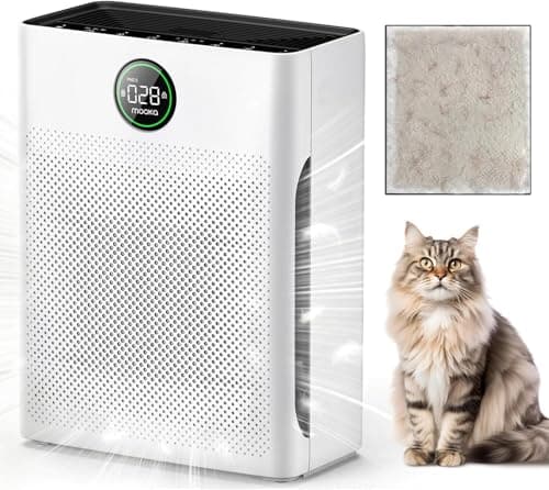 7 Best Air Purifiers for Large Rooms in 2026 — Cleaner Air for 1,000+ Sq Ft Spaces