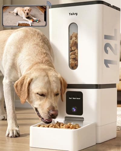 8 Best Automatic Dog Feeders in 2026 — Smarter Feeding for Busy Pet Parents