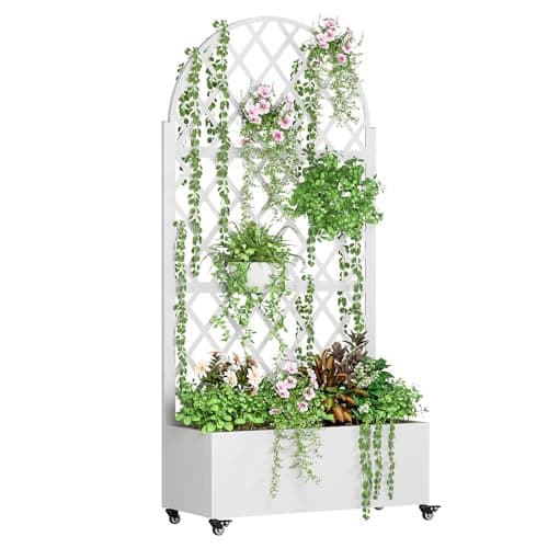 Best Budget Raised Garden Beds for Every Budget in 2026: Ranked by Price & Performance