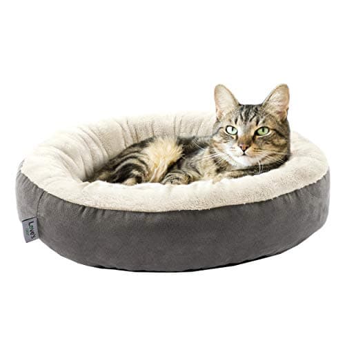 8 Best Cat Beds in 2026 — Cozy, Washable Picks for Calmer Naps