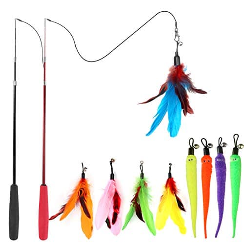 8 Best Cat Toys in 2026 — Keep Indoor Cats Active, Engaged, and Happy