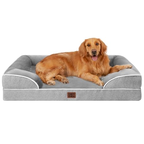 8 Best Dog Beds in 2026 — Orthopedic Comfort, Washable Covers, and Better Sleep for Every Dog