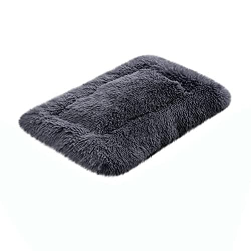 Best Dog Beds Under $100 for Every Budget in 2026: Ranked by Price & Performance