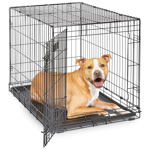 8 Best Dog Crates in 2026 — Safer, Easier-To-Clean Picks for Every Dog Size