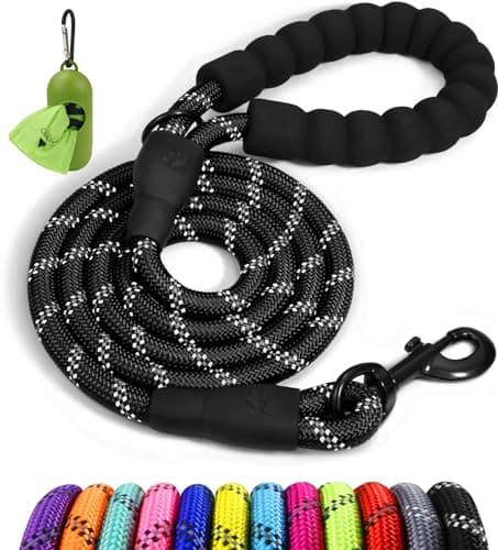 8 Best Dog Leashes in 2026 — Safer Walks, Better Control, and Less Hand Strain