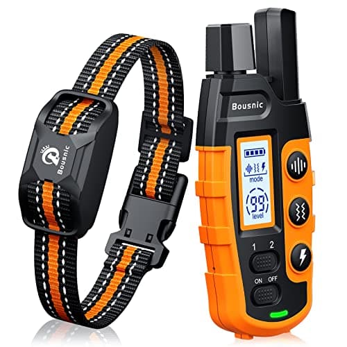 8 Best Dog Training Collars in 2026 — Better Recall, Less Guesswork