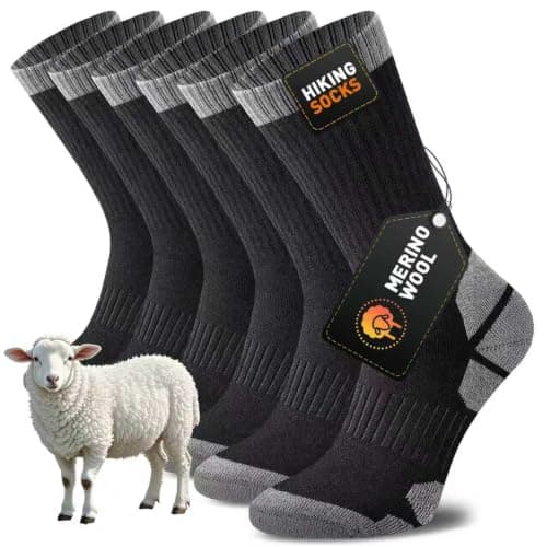 5 Best Hiking Socks in 2026 — Blister-Free Comfort for Long Miles