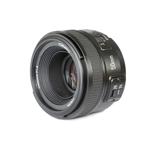 4 Best Prime Lenses for Portraits in 2026 — Sharp Subject Separation for Nikon Shooters