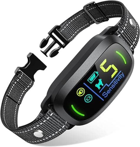 8 Best Smart Dog Collars in 2026 — Safer Tracking, Smarter Training, and Better Peace of Mind