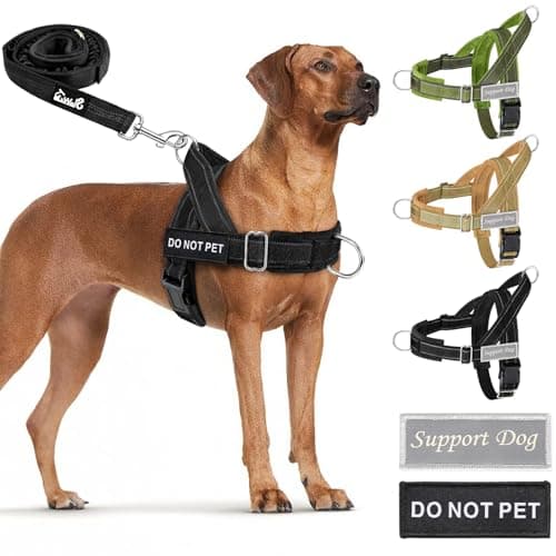 Cómo elegir el mejor arnés para perro