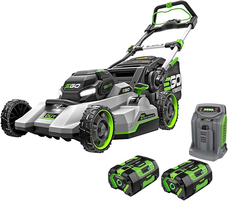 Ego LM2156 Review (2026): Honest Verdict After Testing