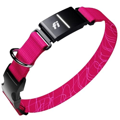 Fi collar Series 3 worth it Review (2026): Honest Verdict After Testing