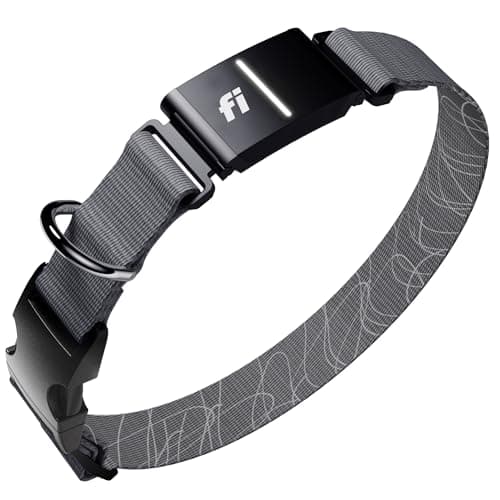 Fi Series 3 collar 6 month test Review (2026): Honest Verdict After Testing