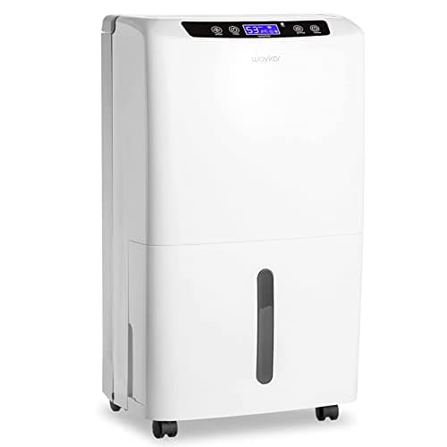 How to Choose the Best Dehumidifier in 2026: Complete Buying Guide