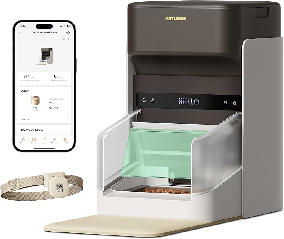 How to Choose the Best Automatic Cat Feeder in 2026: Complete Buying Guide