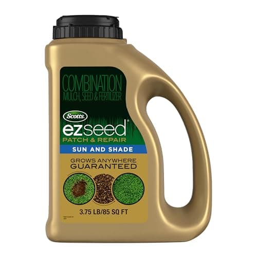 What is How to Overseed a Lawn? A Complete 2026 Guide