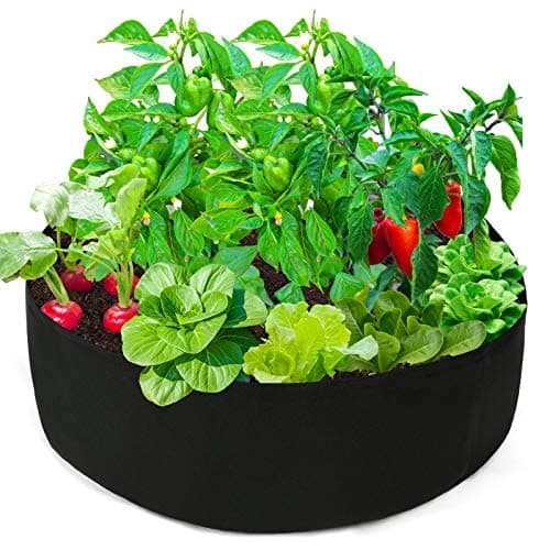 What is How to Start a Raised Bed Garden? A Complete 2026 Guide