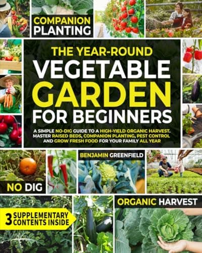 Wat is een moestuin beginnen? Complete gids