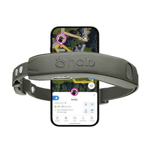 Reseña de Halo Collar: veredicto honesto tras probarlo