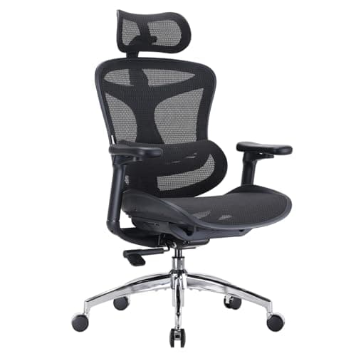 Sihoo Doro C300 6 month test Review (2026): Honest Verdict After Testing